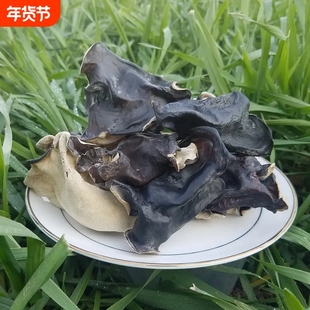头茬毛木耳干货大木耳地耳脆木耳500g包邮厚木耳大片无根火锅食材