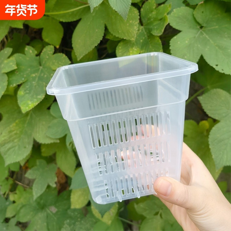 兰花盆栽方盆加厚透气塑料花盆控根盆蝴蝶兰定植篮水培桌面种花