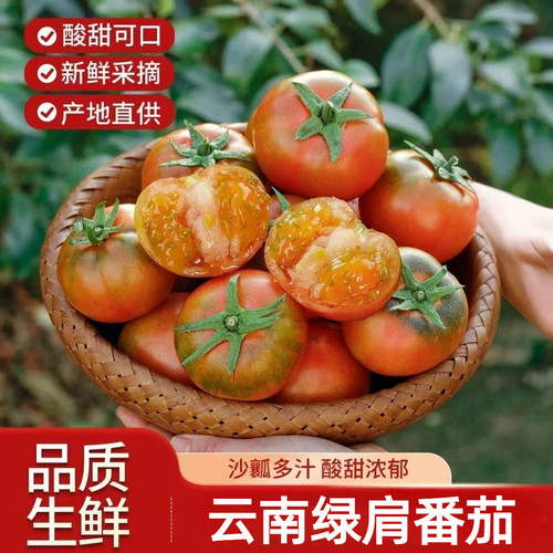 云南绿肩番茄露天自然熟沙瓤西红柿酸甜生吃水果新鲜现摘即食农场