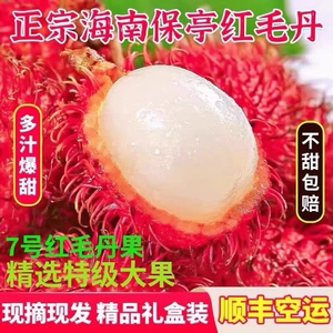 海南保亭红毛丹7号果 当季新鲜孕妇水果现摘现发大果顺丰陆运包邮