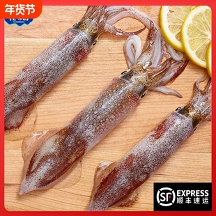 探味岛顺丰包邮福建东山岛小管鱿鱼冷冻海兔子弹管笔管鱼海鲜水产