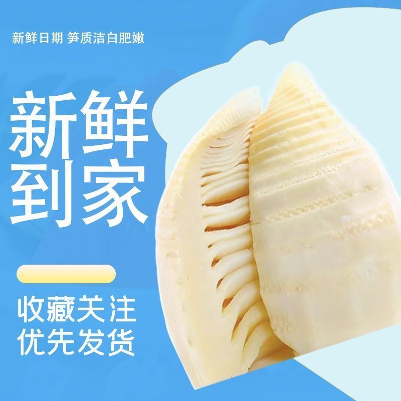 火锅蔬菜冬笋糯米笋真空包装原味水煮笋块笋嫩笋尖商用小竹笋炒菜