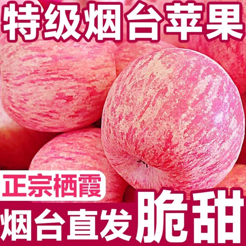 山东烟台红富士苹果脆甜多汁