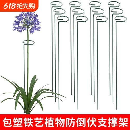 植物防倒伏铁艺支架花卉支撑杆