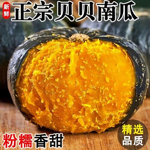 正宗贝贝南瓜新鲜板栗味小南瓜栗面老瓜宝宝孕妇辅食农家自种香甜