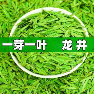 龙井绿茶特级春茶2026年新茶明前正宗高山浓香豆香型龙井茶叶送礼