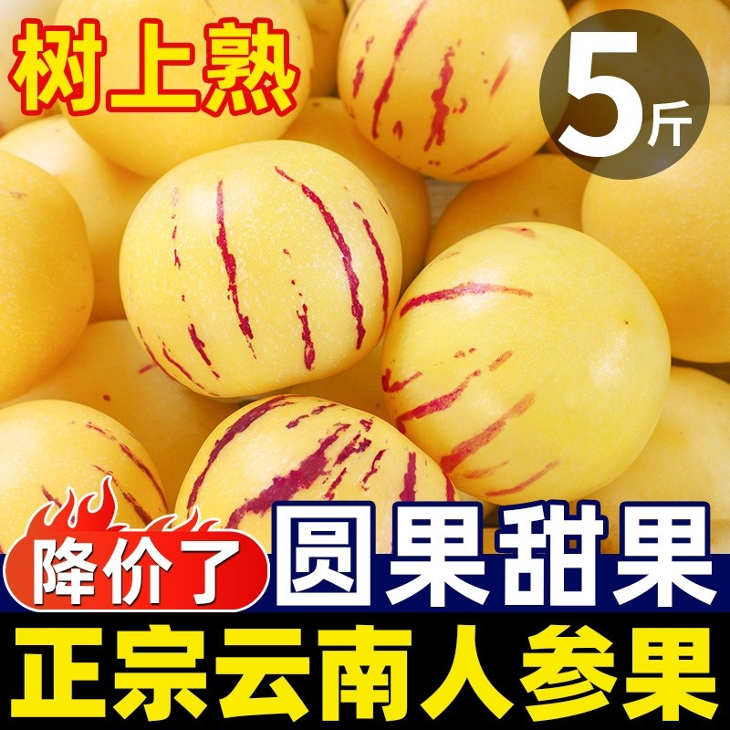 3�� Բ�� ���ػݡ�С������ζŨ���� �������ʡ�ʯ���˲ι������֭��