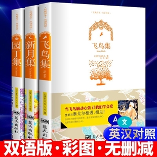 双语版 英文版 新月集飞鸟集园丁集泰戈尔吉檀迦利双语版 全集泰戈尔诗选诗集五年级课外书阅读完整版 中英对照带插图原版 全3册