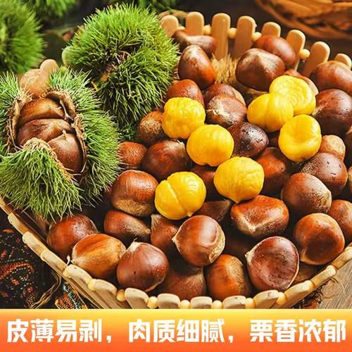中秋水果新鲜带壳板栗现摘新鲜板栗生栗子批发包邮板栗应季蔬菜