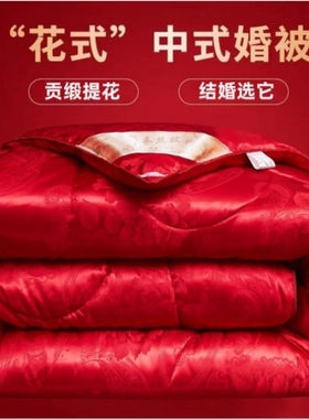 大红色结婚蚕丝被芯陪嫁喜被棉被芯加厚子母被春秋被桑蚕丝冬被