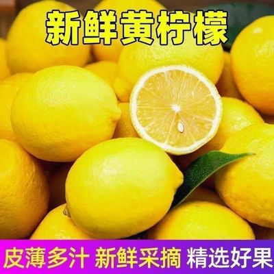 安岳特产黄柠檬新鲜水果皮薄多汁产地直发一级鲜果包邮奶茶店泡水