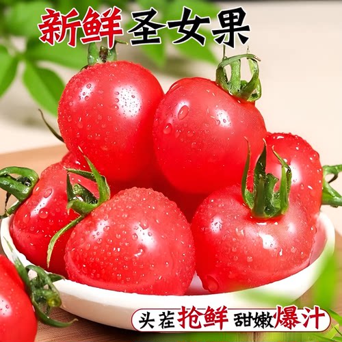 圣女果新鲜樱桃小番茄时令现货孕妇水果包邮一颗现摘自提自然熟
