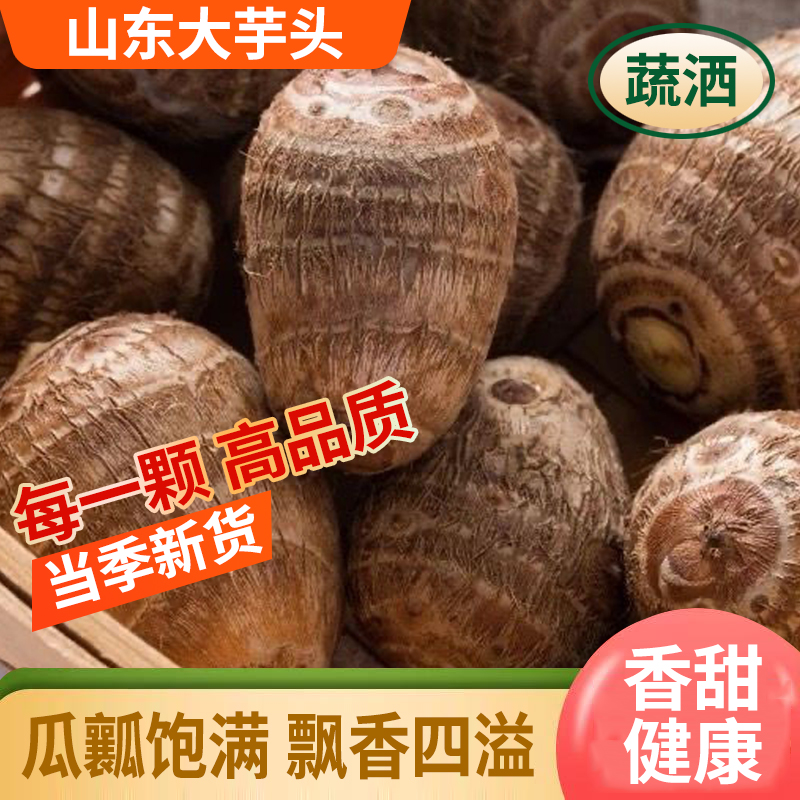 2025新挖现挖新鲜牛奶芋头山东小芋头仔芋艿小香芋芋粉现挖早餐鲜