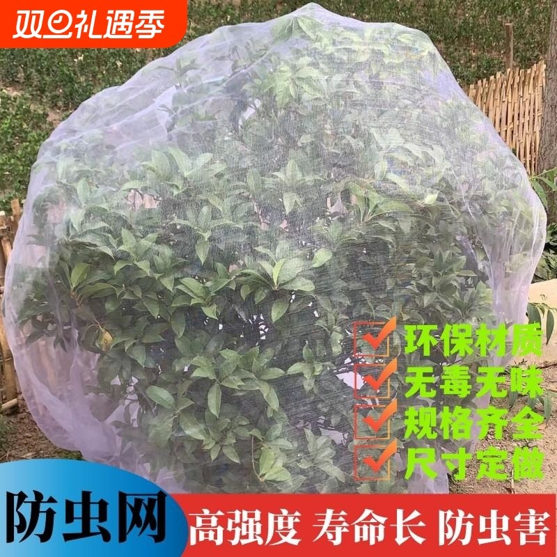 透明白纱网套罩防鸟防虫网罩果树蔬园艺防冰雹病虫害蚊虫果蝇针蜂