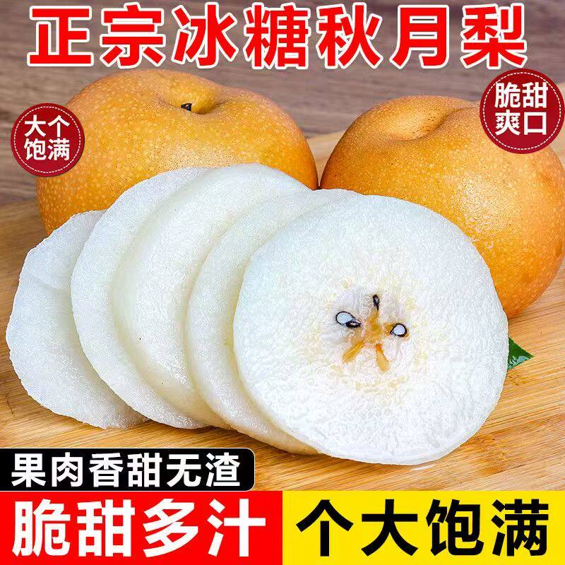 爆甜山东正宗莱阳秋月梨水果新鲜应季薄皮梨子一整箱批发价