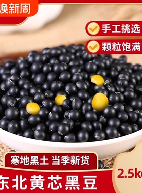 东北黄芯黑豆新货黑豆子黑龙江农家自种大豆生豆芽打豆浆专用黑皮