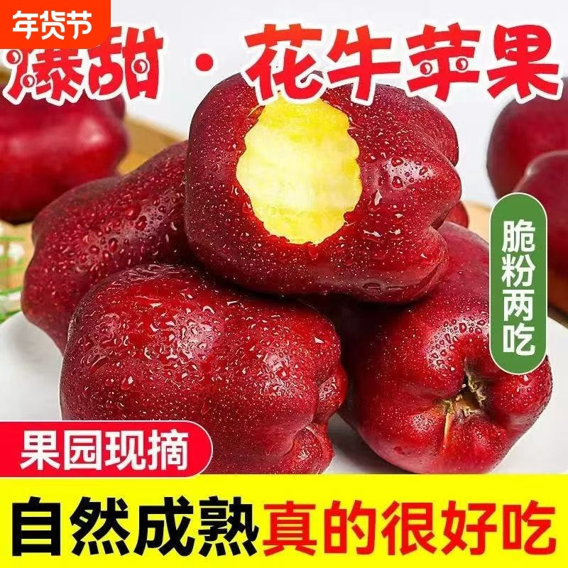 甘肃天水花牛苹果新鲜水果红蛇果当季直发宝宝老人辅食现摘年货节,水产肉类/新鲜蔬果/熟食,苹果,淘宝优惠券,粉丝福利购,淘宝优惠卷