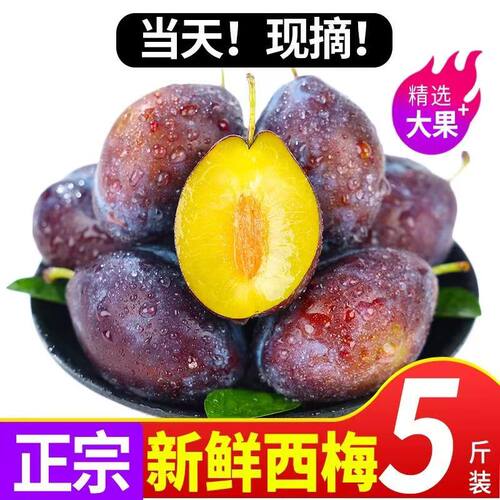 【果园直发】正宗大西梅新鲜西梅新鲜水果甜西梅李子爆甜水果包邮