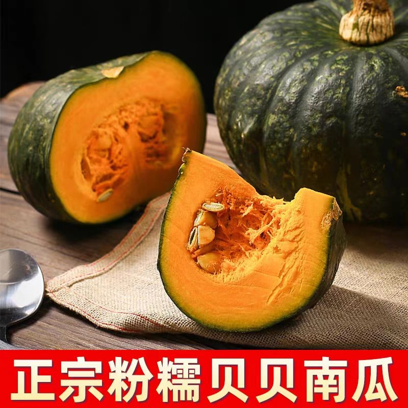 贝贝南瓜正宗板栗味新鲜小南瓜粉糯蔬果健康餐轻食宝宝辅食