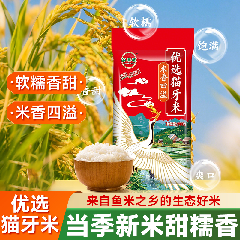 猫牙米新米大米原生态农家米超长粒香米软糯猫牙丝苗米晚稻煲仔饭