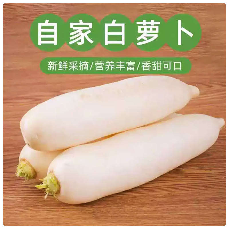 山东新鲜大白萝卜农家露天蔬菜清甜可口水果萝卜生吃凉拌炖汤包邮