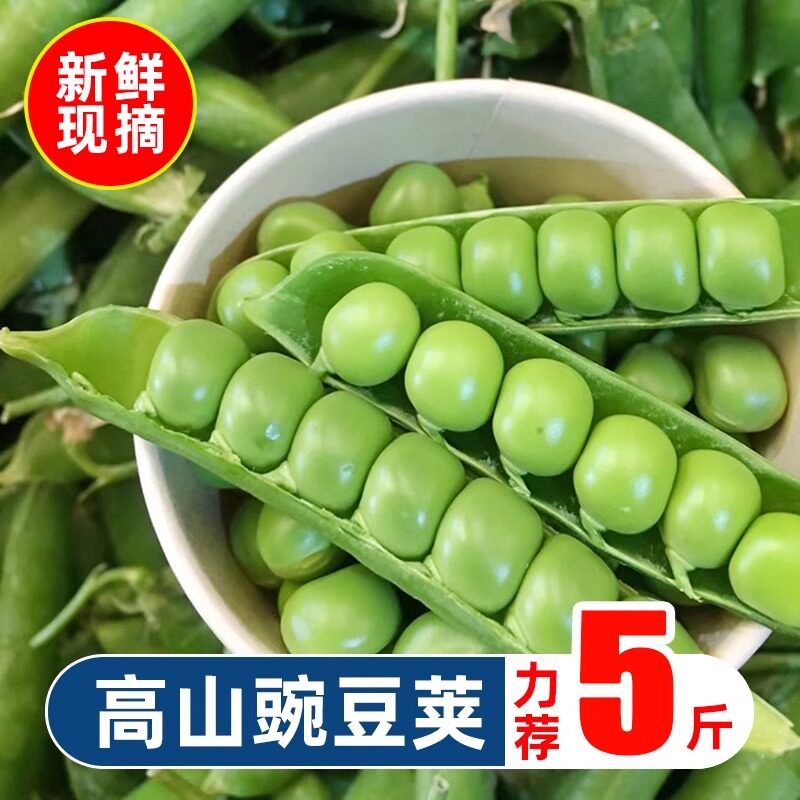 新鲜青豌豆荚带壳 云南现摘现发水果青豆颗粒饱满甜豆角蔬菜包邮,水产肉类/新鲜蔬果/熟食,新鲜豆类,淘宝优惠券,粉丝福利购,淘宝优惠卷