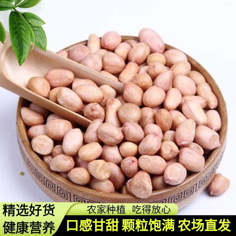 河南南阳白沙花生米花生仁生花生批发 晒干发货农家自种颗粒饱满