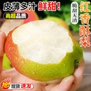 正宗陕西红香酥梨新鲜梨子当季 薄皮香梨酥梨雪梨特产水果整箱应季
