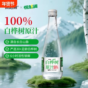 泉阳泉长白山天然100%白桦树原汁健康原液本植物饮料送礼玻璃瓶
