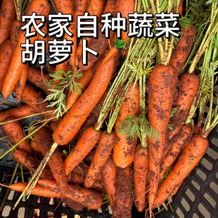 农家自种胡萝卜3/5斤新鲜沙土地蔬菜红萝卜营养丰富清甜爽脆