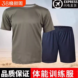 夏季速干体能训练服套装体能服男正版原厂上衣短袖T恤裤子服短裤