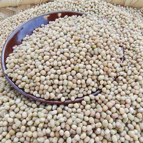 贵州小豆干豆米榄豆精小米豆竹豆爬山豆饭豆小豆米豆饭豆酸菜自种