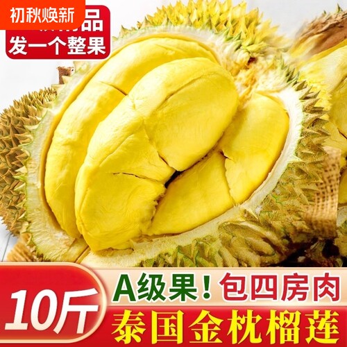 正宗泰国进口金枕榴莲树上熟现摘