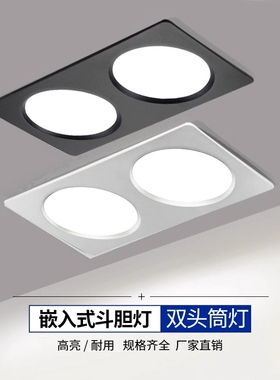 led双头筒灯双孔嵌入式超薄格栅灯店铺商用射灯斗胆灯开孔10*20cm