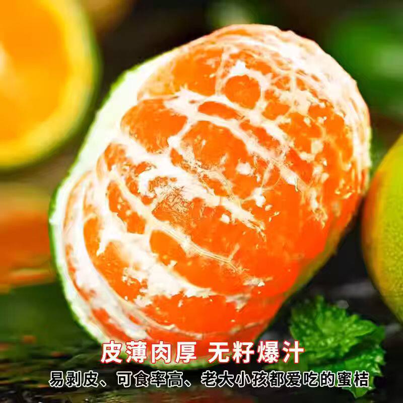蜜橘新鲜桔子应当季水果现摘无籽柑橘小青绿皮自然熟整箱发货直发