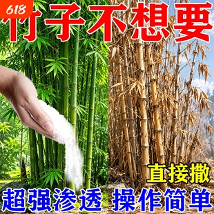 消竹子的药竹根连根清强力清竹根去除杂草灌木竹林树大面积开荒S
