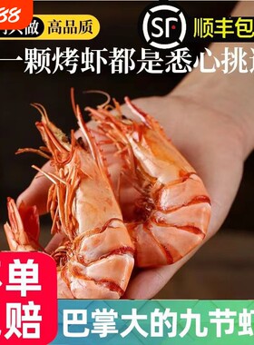九节虾干礼盒即食特大烤虾干开袋大虾对虾斑节虾海鲜干货送人解馋