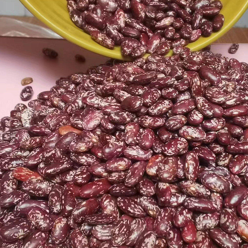 花豆贵州特产四季豆干货贵州红豆菜豆米红饭豆红花芸豆豆米豆子图片