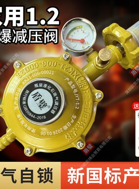 家用防爆漏气自闭减压阀液化灶煤气瓶罐安全自锁国标定压低压阀门