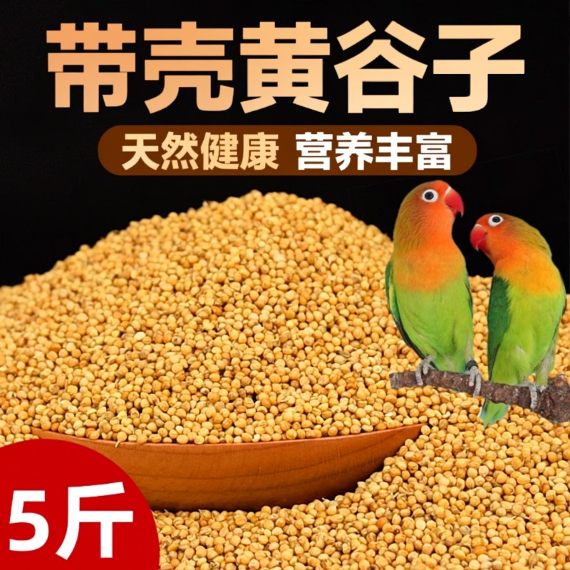 鹦鹉饲料鸟粮新黄谷子带壳小米虎皮鹦鹉饲料玄凤牡丹专用鸟食粮食
