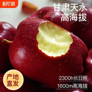 花牛苹果正宗甘肃天水10斤水果脆整箱当季 糖心粉面丑现摘蛇果孕妇