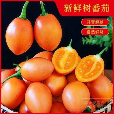 云南洋酸茄新鲜大树番茄特产当季直发正宗鸡蛋果熟果凉拌傣味番茄