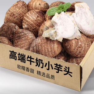 新鲜现挖牛奶毛芋头小芋头农家芋艿子香芋软糯蔬菜