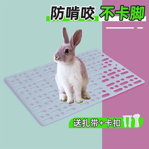 宠物专用防啃咬脚垫|千人加购