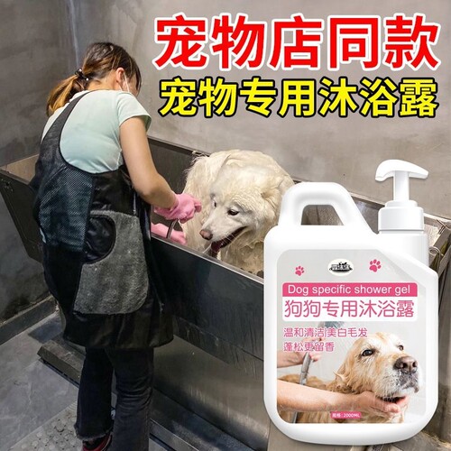 比熊狗狗宠物沐浴露抑菌除螨留香清洁美白亮毛用干洗驱虫洗护杀螨