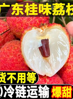 广东桂味荔枝顺丰当季新鲜水果现摘孕妇水果仙进奉整箱热带大果