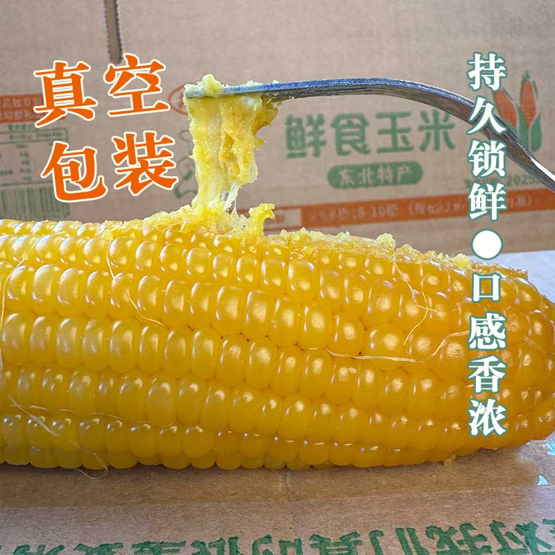 新鲜东北黄糯玉米棒苞米粘玉米加热即食代早餐粗粮真空包装