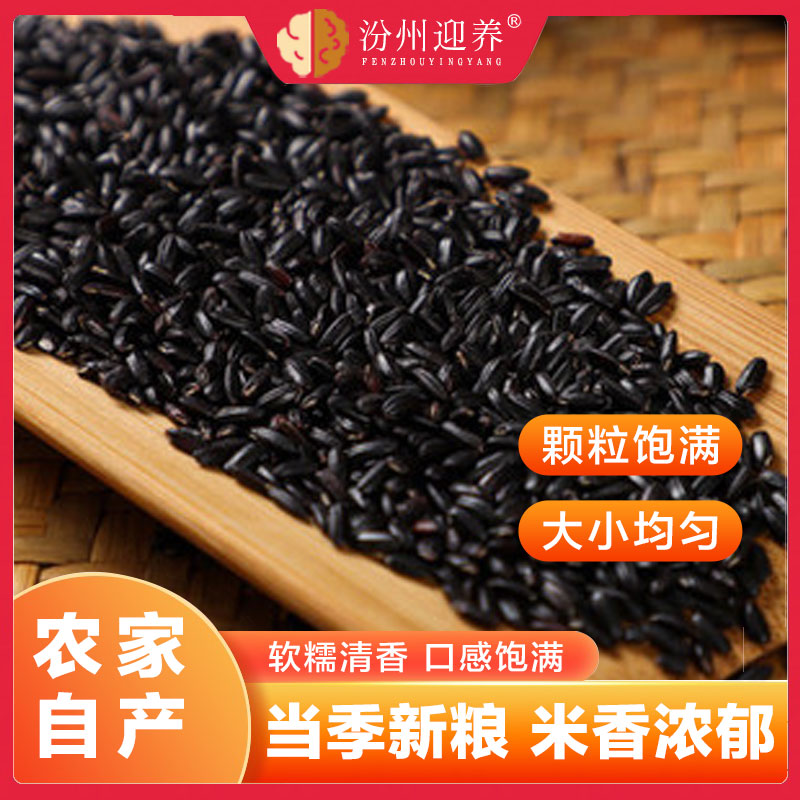 黑米新米黑香米农家自产五谷杂粮黑大米粗粮早餐黑米粥宝宝粥5斤