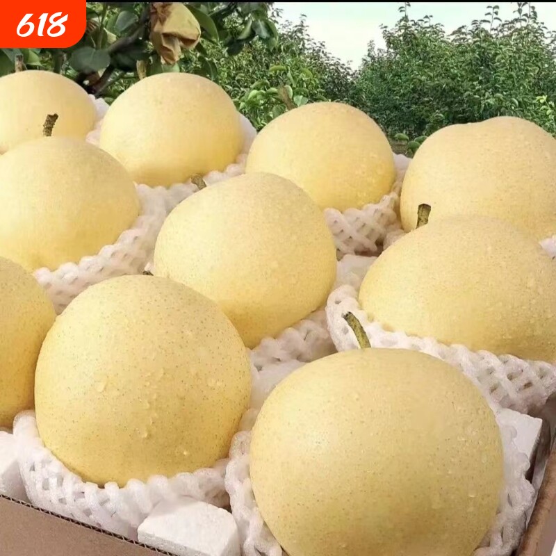商品图片