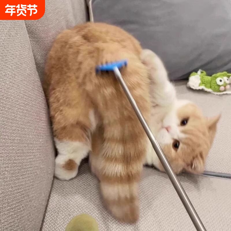 逗猫棒玩具猫咪按摩互动解闷痒痒挠抓痒撸猫神器可伸缩梳子梳毛刷